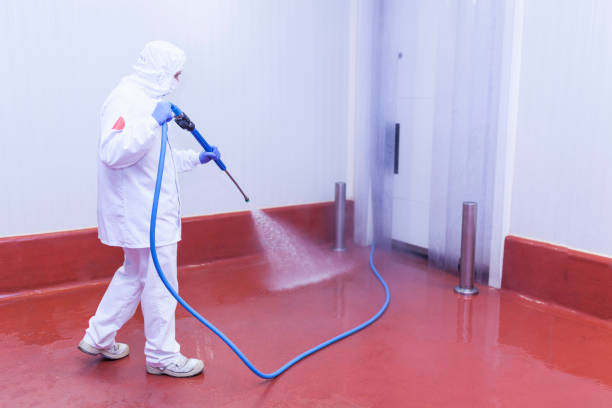 Best Gutter Cleaning and Brightening in Rangely, CO